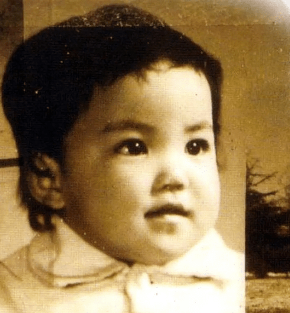 王菲 1969年王菲小时候真是可爱,关键是现在某个时刻的神情和小时候