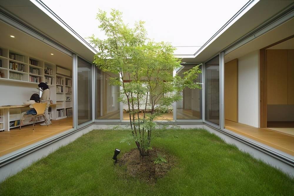 谁不希望自家能有院子,最好是前庭后院,屋前屋后都能养花种菜_庭院