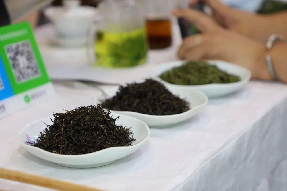 明日剧透以硒为贵茶通天下安康富硒茶西安茶博会受热捧