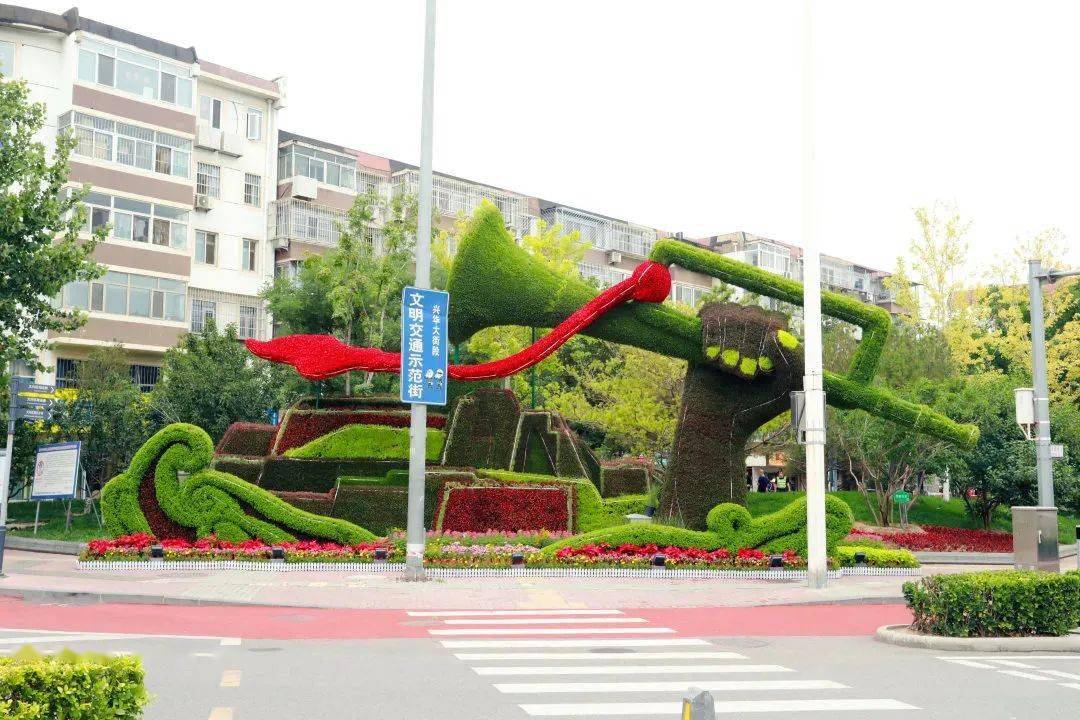 北京多区主题花坛争奇斗艳,花海迎庆典!你最喜欢哪一组?来投票