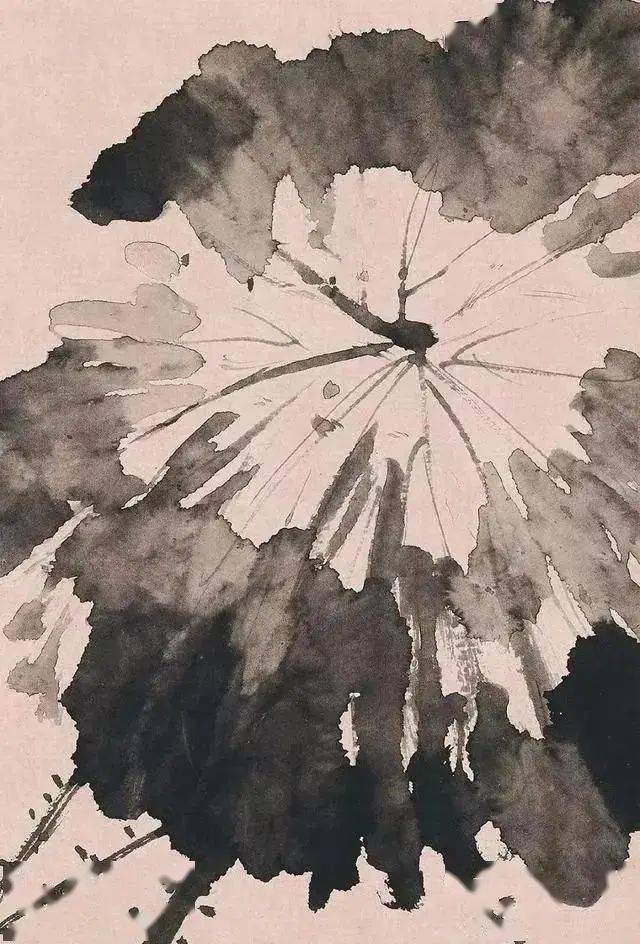 明代三大才子之一徐渭泼墨写意花鸟画的留白