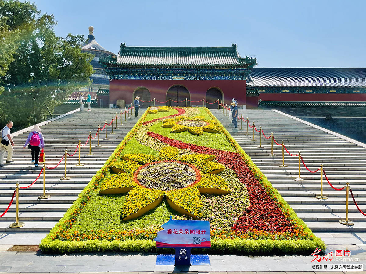 Flower|Flower decorations arranged to welcome the CPC centenary