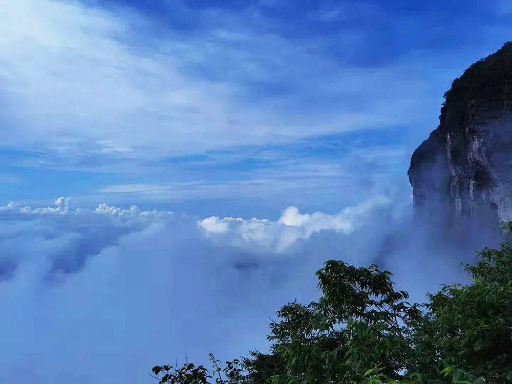 所有人重慶雲海預報出爐週末這些景區可賞雲海美景