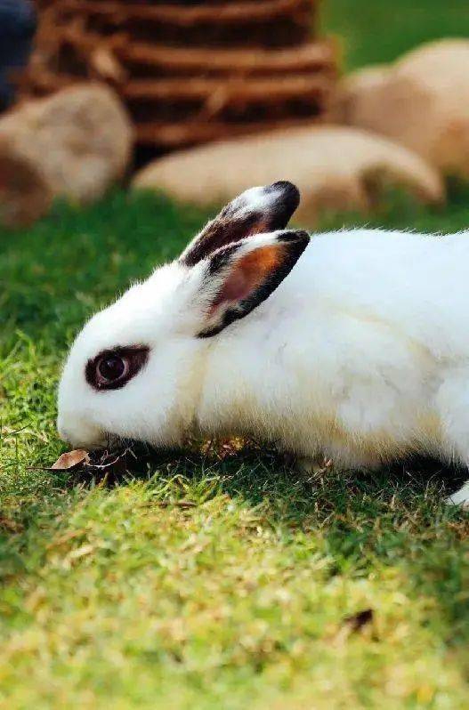 理想|不想带娃，只想躺平？亲子酒店来一波～