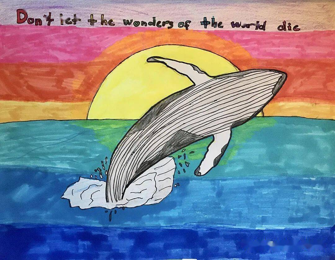 作品征集2021年第九届濒危物种艺术和摄影大赛青少年艺术大赛