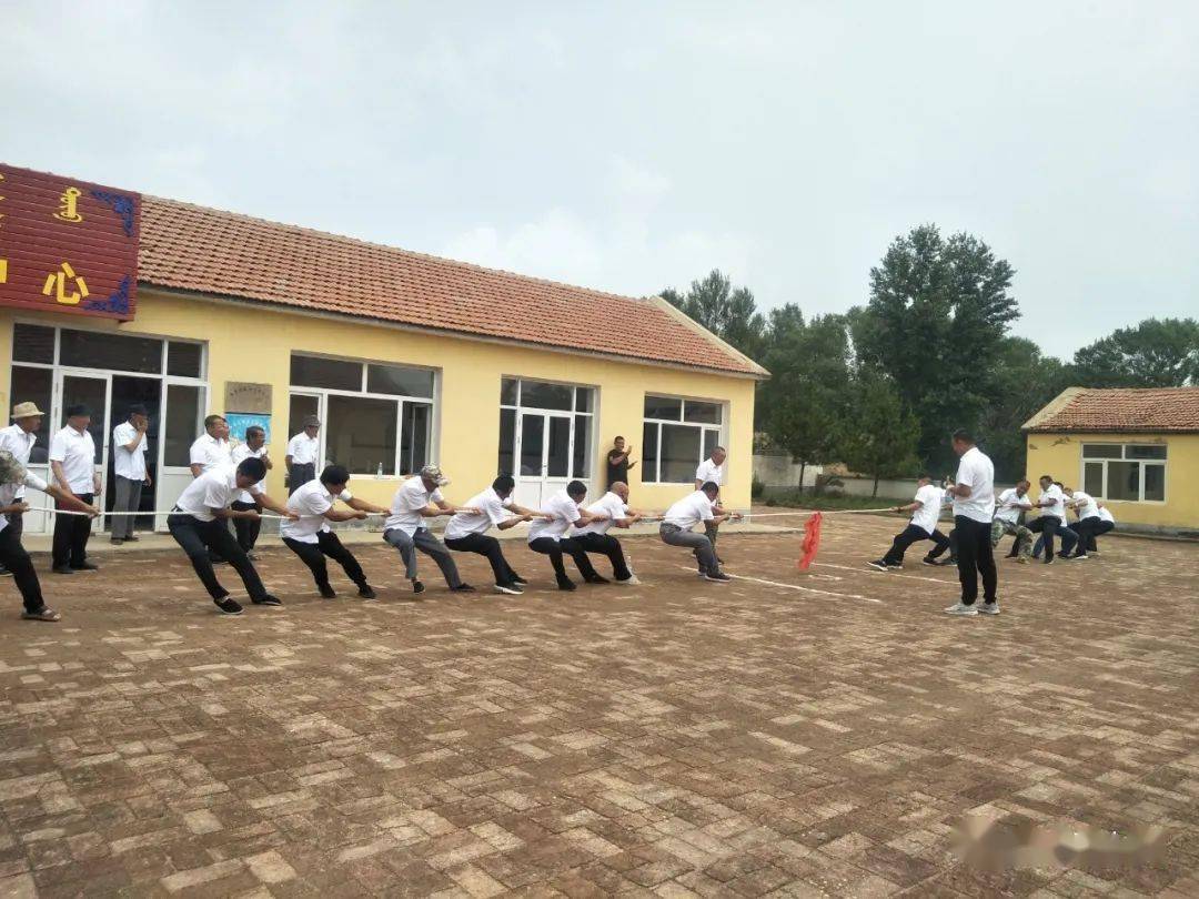 白音花镇乌兰岗嘎查学党史悟思想办实事热烈庆祝建党100周年