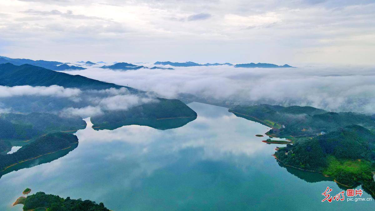 Tianhu|Misty view of the Tianhu National Wetland Park in central China's Hunan