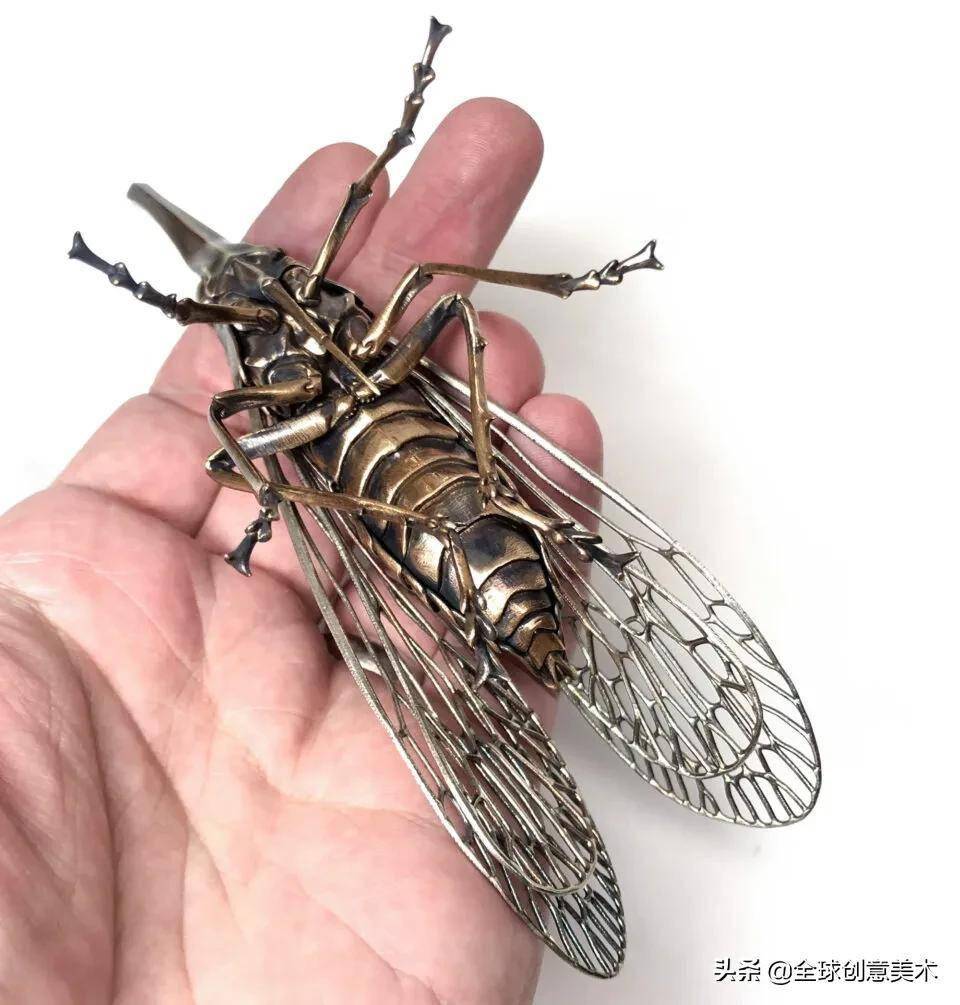 青铜和纯银再现史前昆虫｜来自生物学博士的金属昆虫标本_艾伦·德拉蒙德