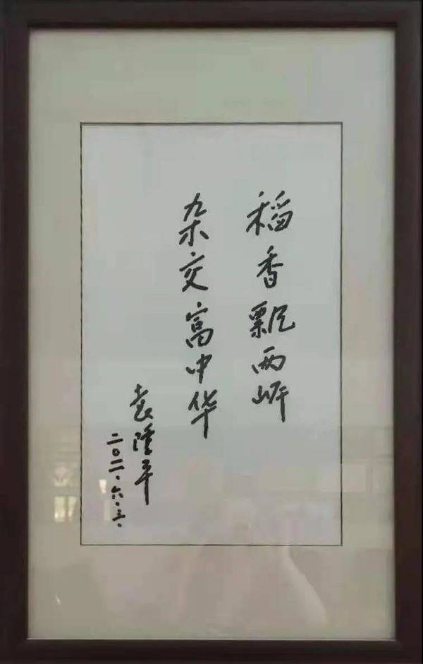 袁隆平写了 稻香飘两岸 挂在漳浦,背后有着怎样的故事