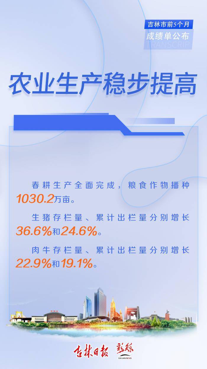 海报|海报！吉林市前5个月“成绩单”公布