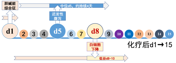 主任提問伊立替康3大不良反應有哪些怎麼處理