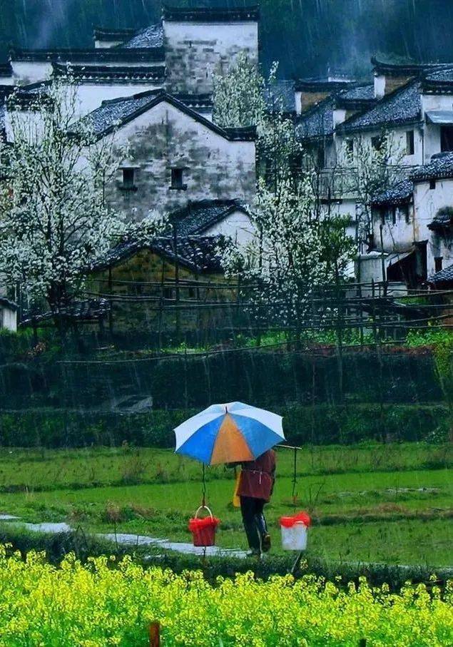 婺源,记住乡愁
