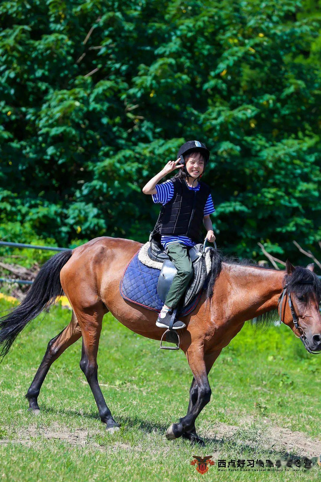 赤兔4和赤兔4v2哪个更值得买 a05117ce0c8e4a90a92841f0fe74ab7f.jpeg