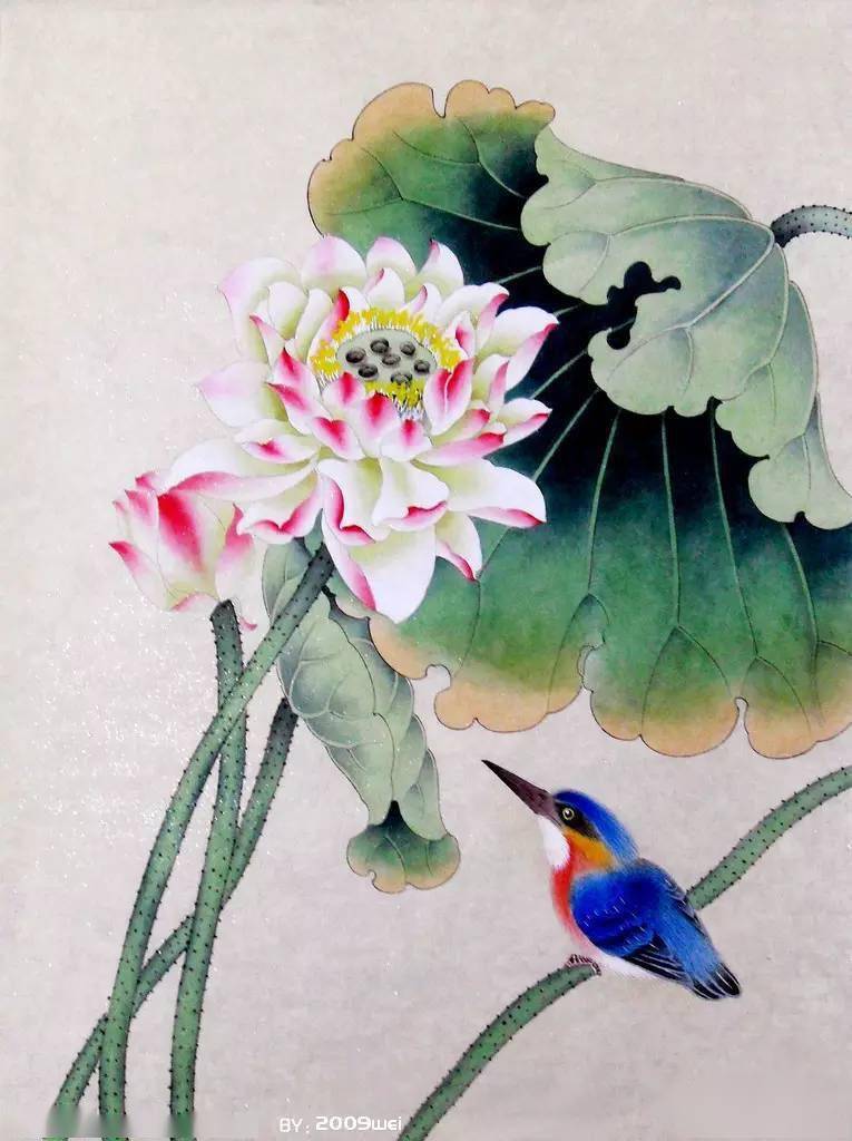 100幅国画翠鸟灵动之美