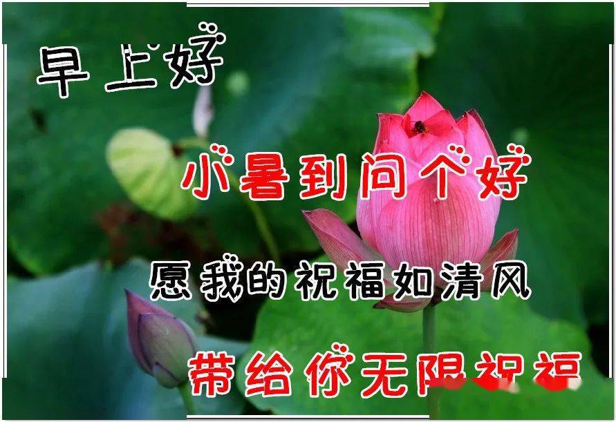7月7日最漂亮小暑动态表情图片大全早上好动图美图大全