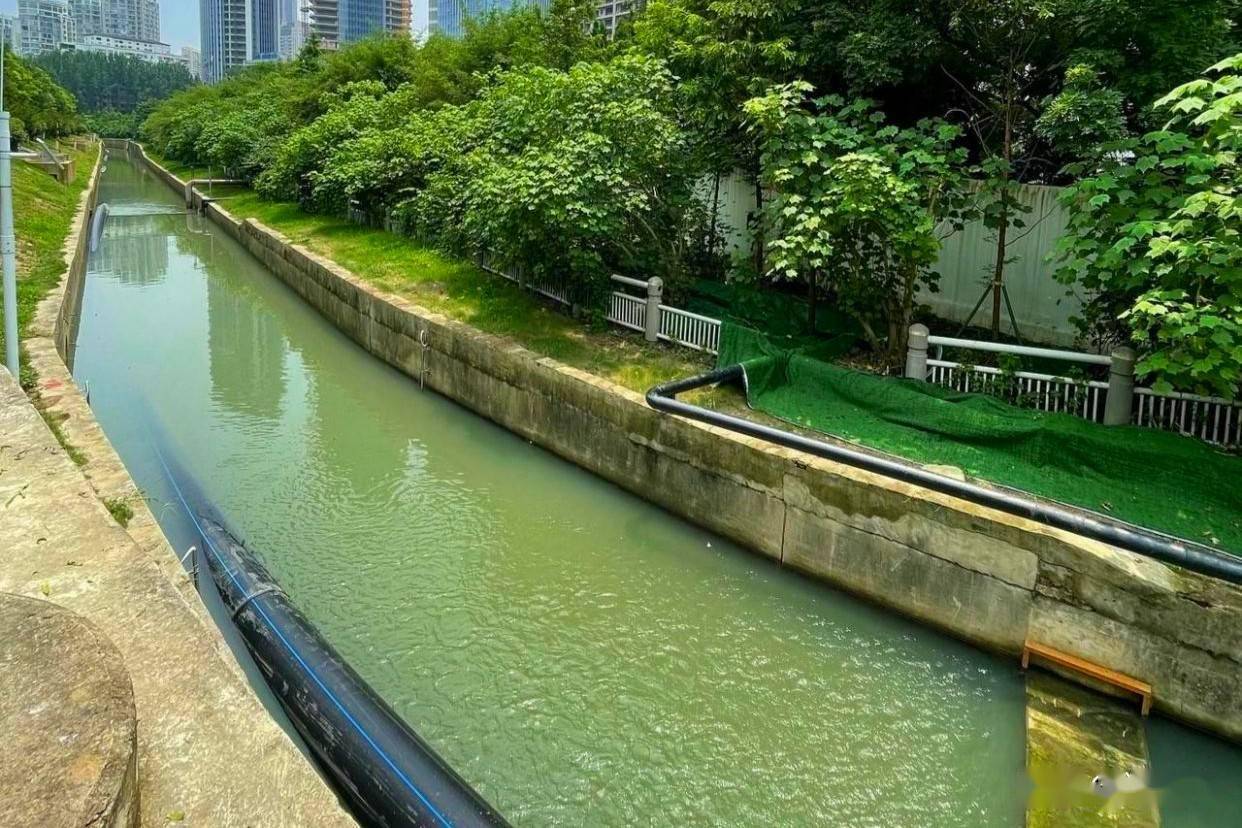 黑臭水体整治武汉沙湖港从臭水港到景观带的蜕变