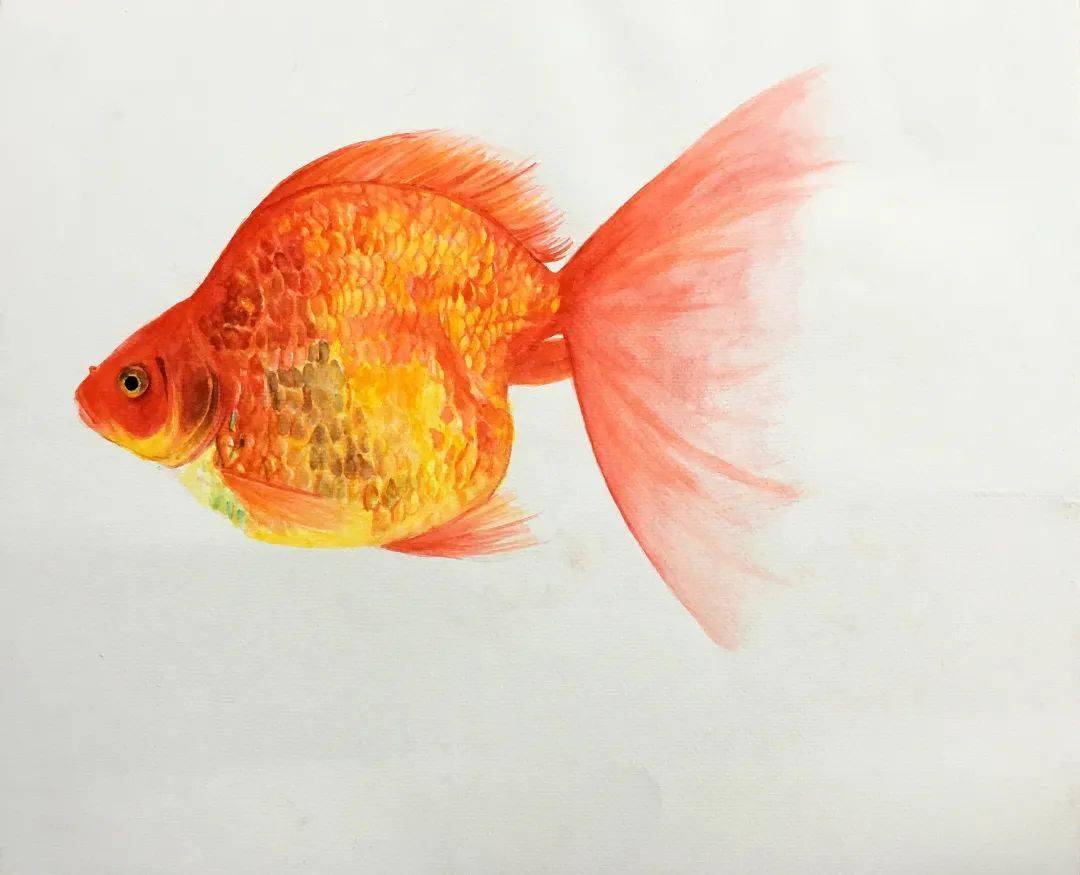 精微素描 高一 李瀛精微素描 高一 盛恒正中国科学院附属实验学校分校