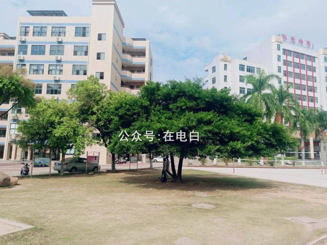 电白水东中学青春里永不老去的记忆