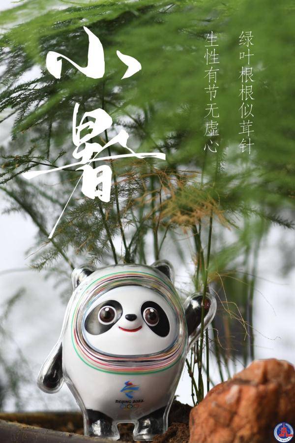 冰墩|冰墩墩打卡二十四节气·小暑