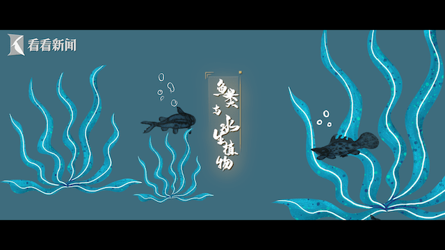 上海博物馆|“艺见·上博”寻迹文明 | 明成化孔雀绿釉青花盘