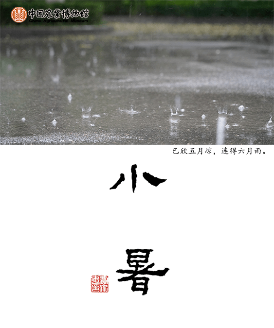 小暑节气古诗词赏读小暑六月节唐元稹