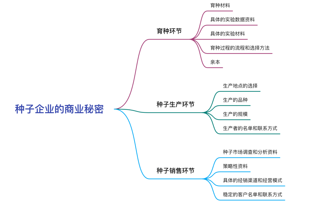 种子的思维导图怎么画图片