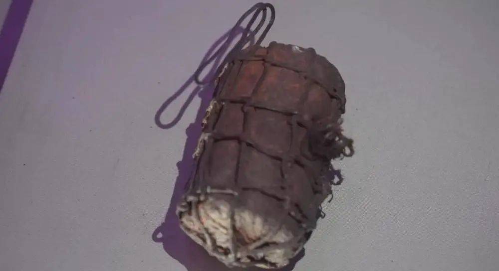 新华社了不起的它们延吉炸弹有大智慧的土武器