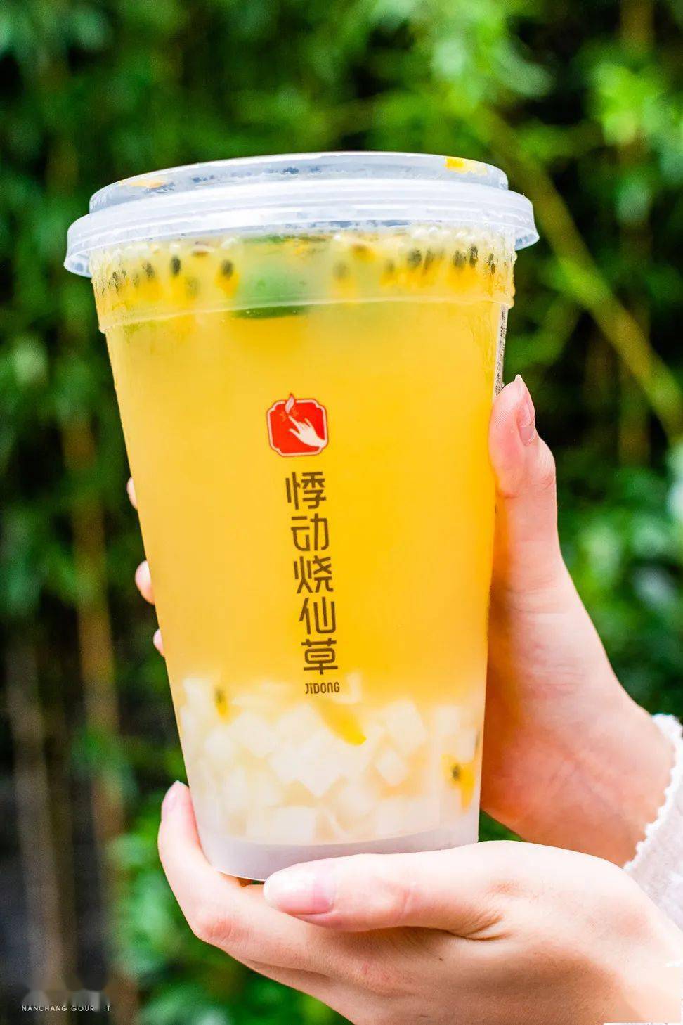 悸动烧仙草【草莓狂欢节】今日出道!你喝了"莓"?