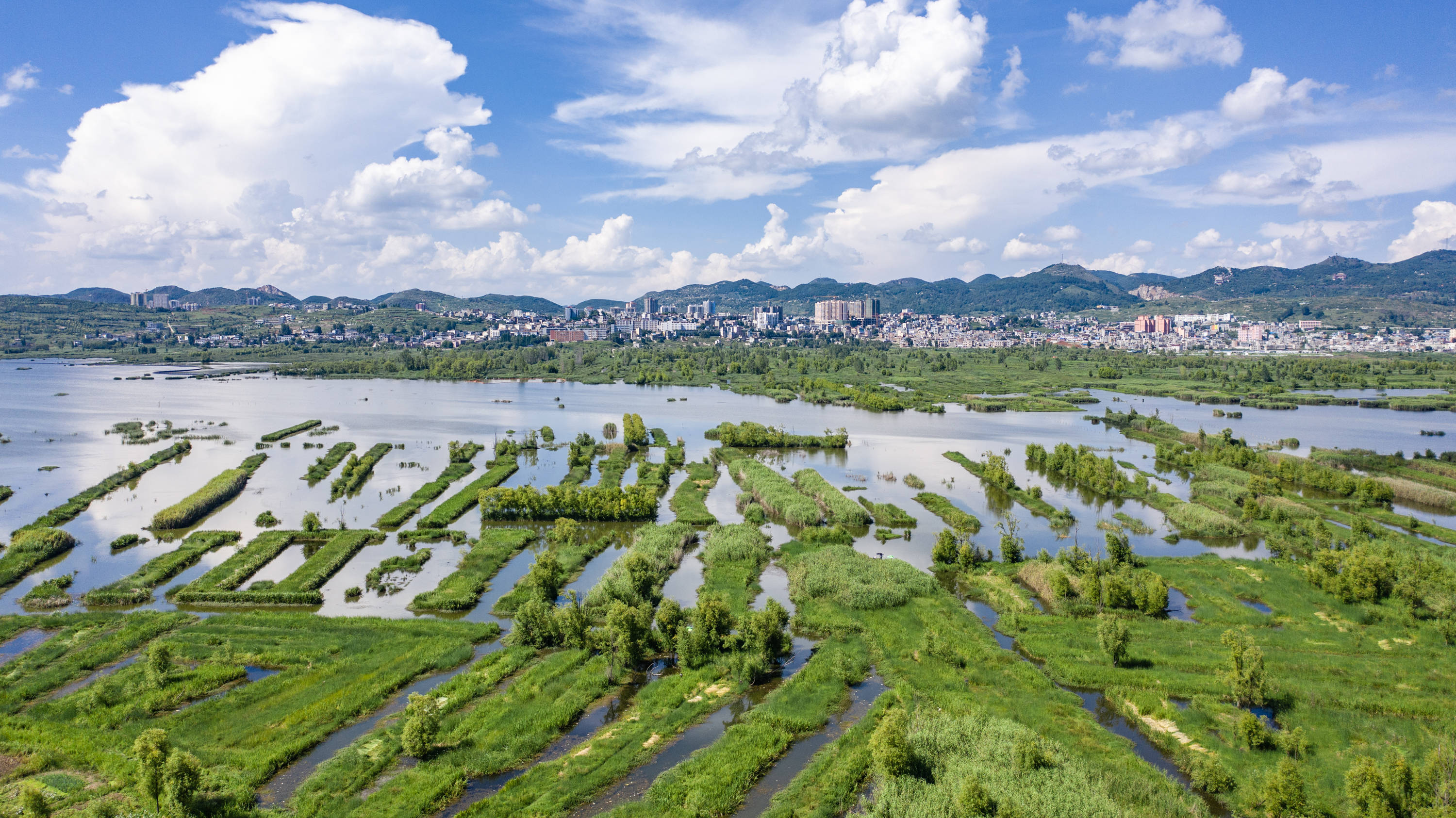 威宁草海 国家级图片