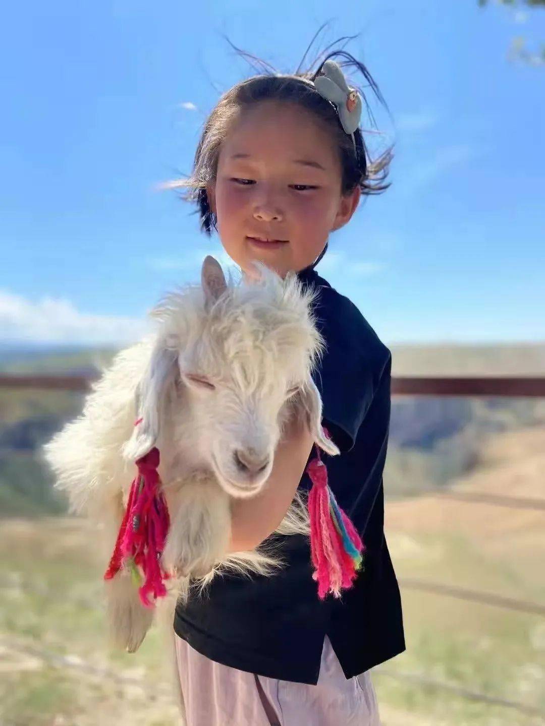 景点入口,小女孩抱着合影的羊羔,善良的导游小哥哥立马扫了她的付款码