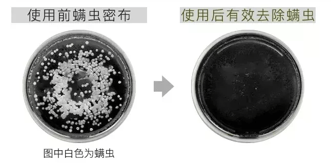 洗头|白发越长越多？原来是这里出了毛病！坚持一招，养一头乌黑墨发！