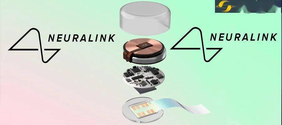 neuralink的脑机接口:「大师兄」和「二师兄」都不