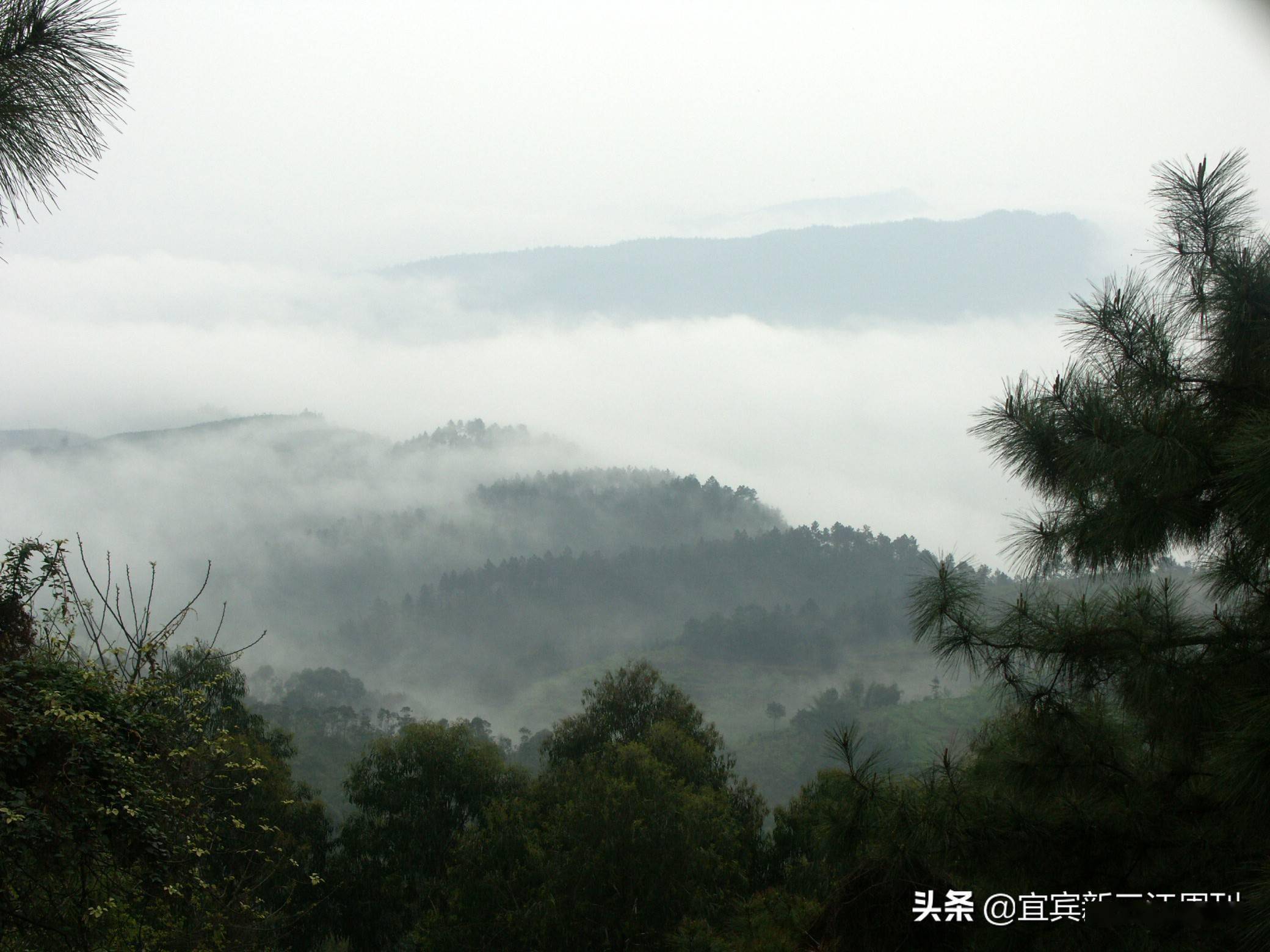 宜宾佛来山图片