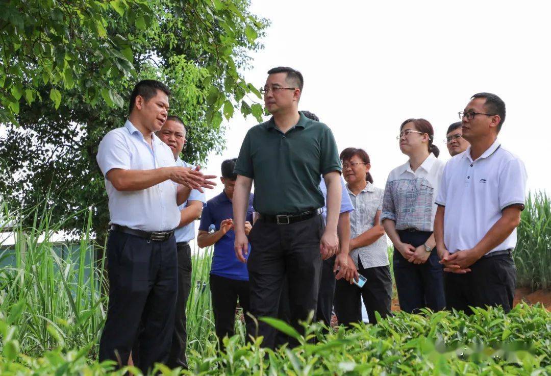 柳城县委书记李柳彬深入乡镇调研