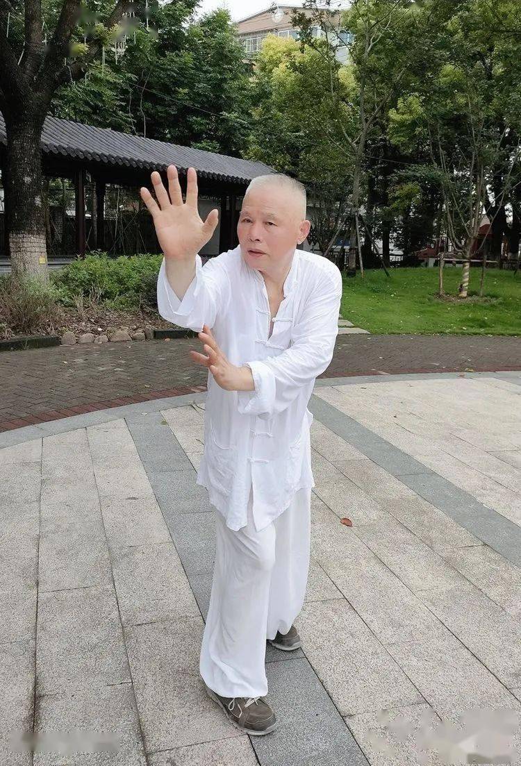 万万没想到罗店也有武林高手这位大师教你几招你会爱上它