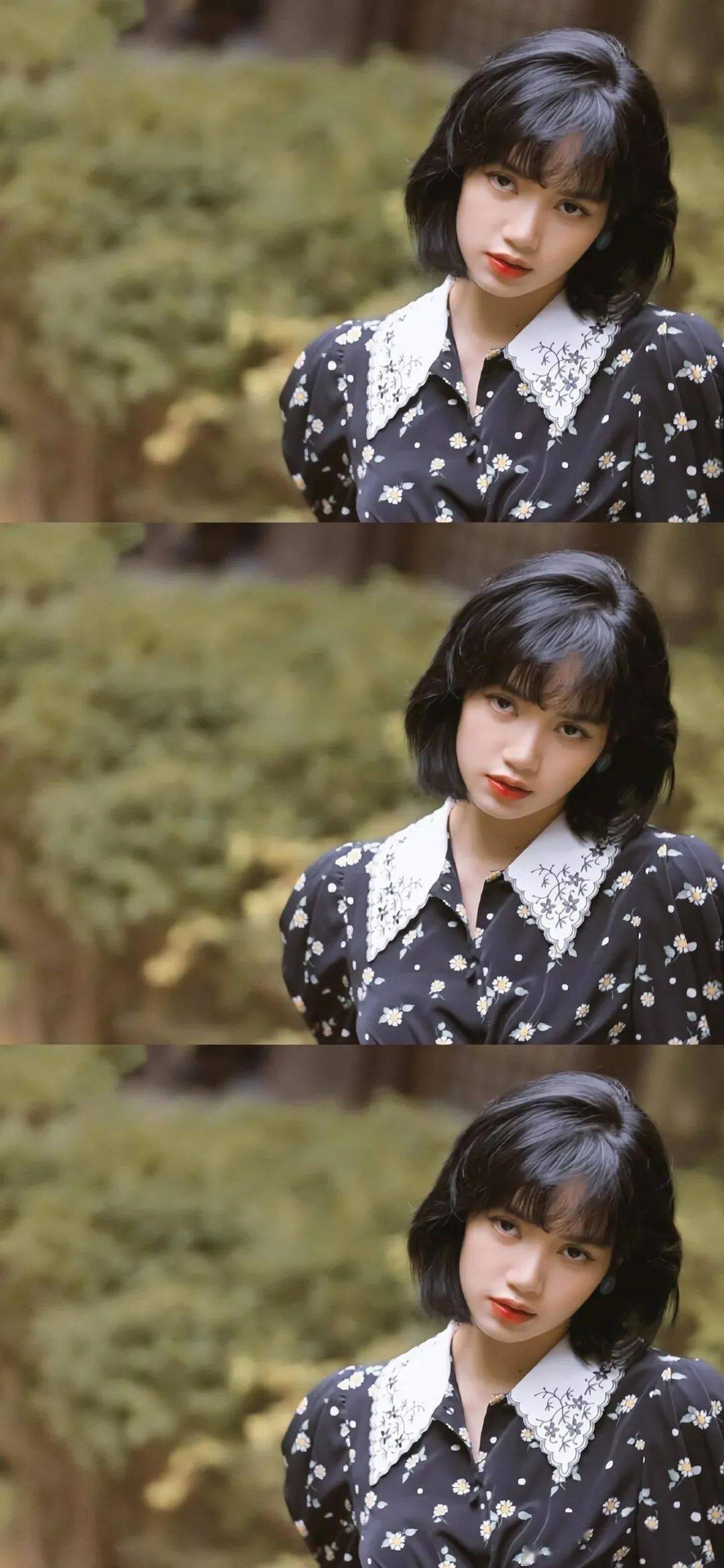 人间理想lisa头像壁纸