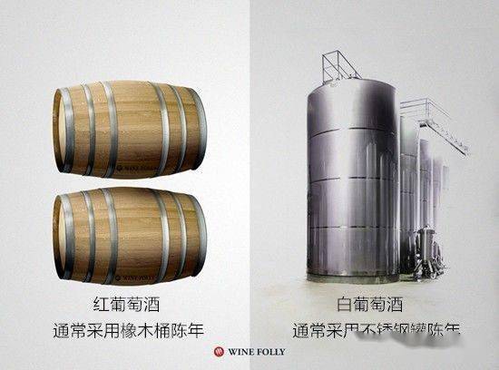 The|红、白葡萄酒间真正的区别