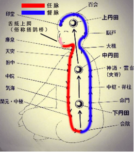 奇经八脉运行图气血图片