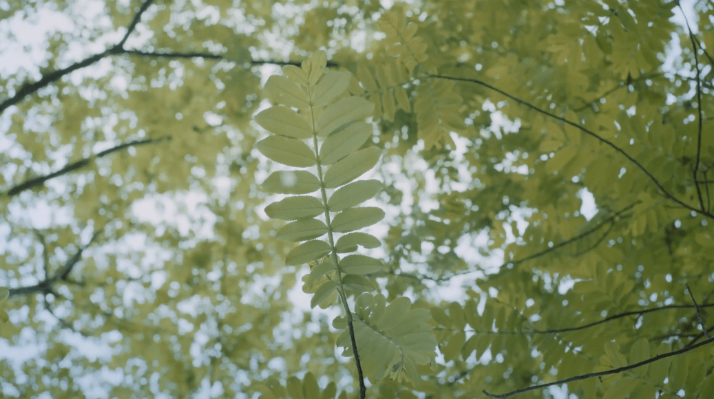 七月，镇江夏日游玩指南