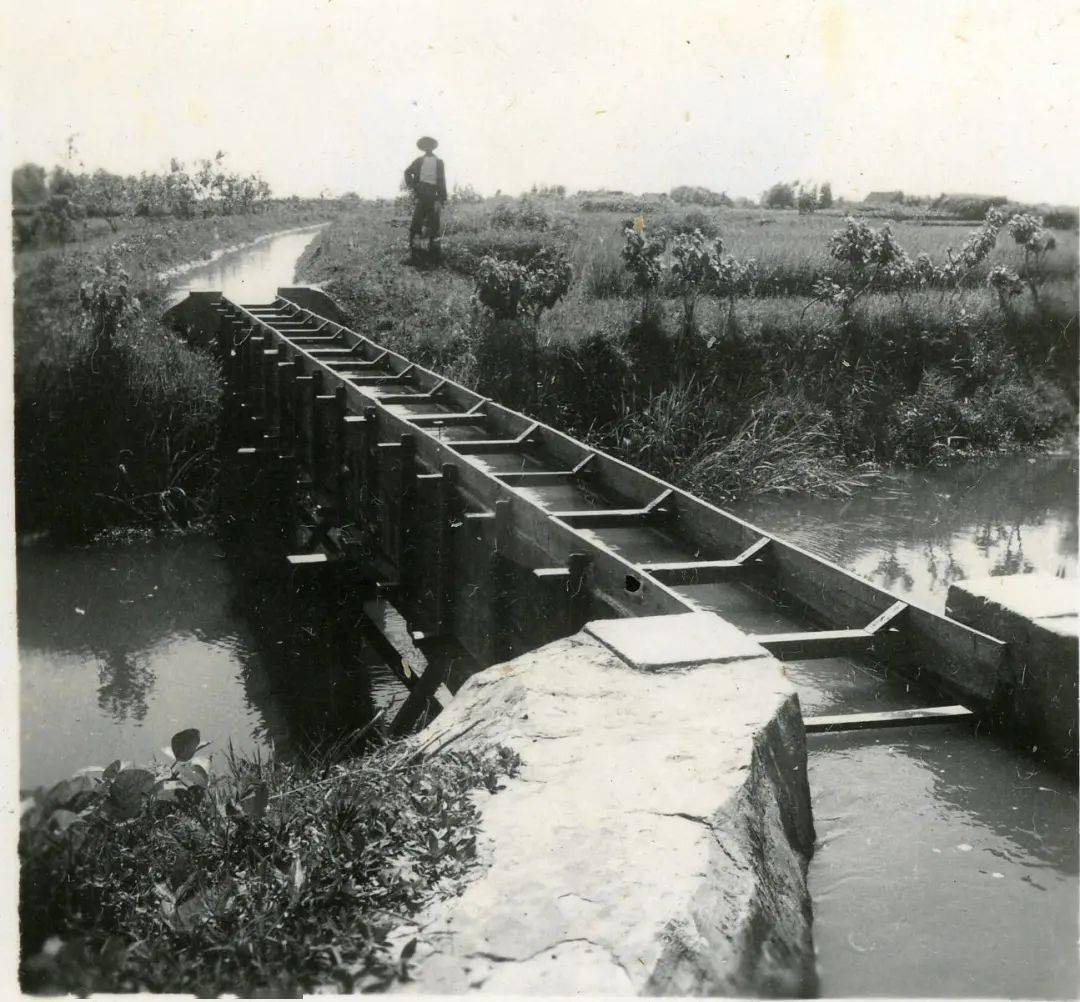 一组老照片流出!记录了百年来海宁的大变化
