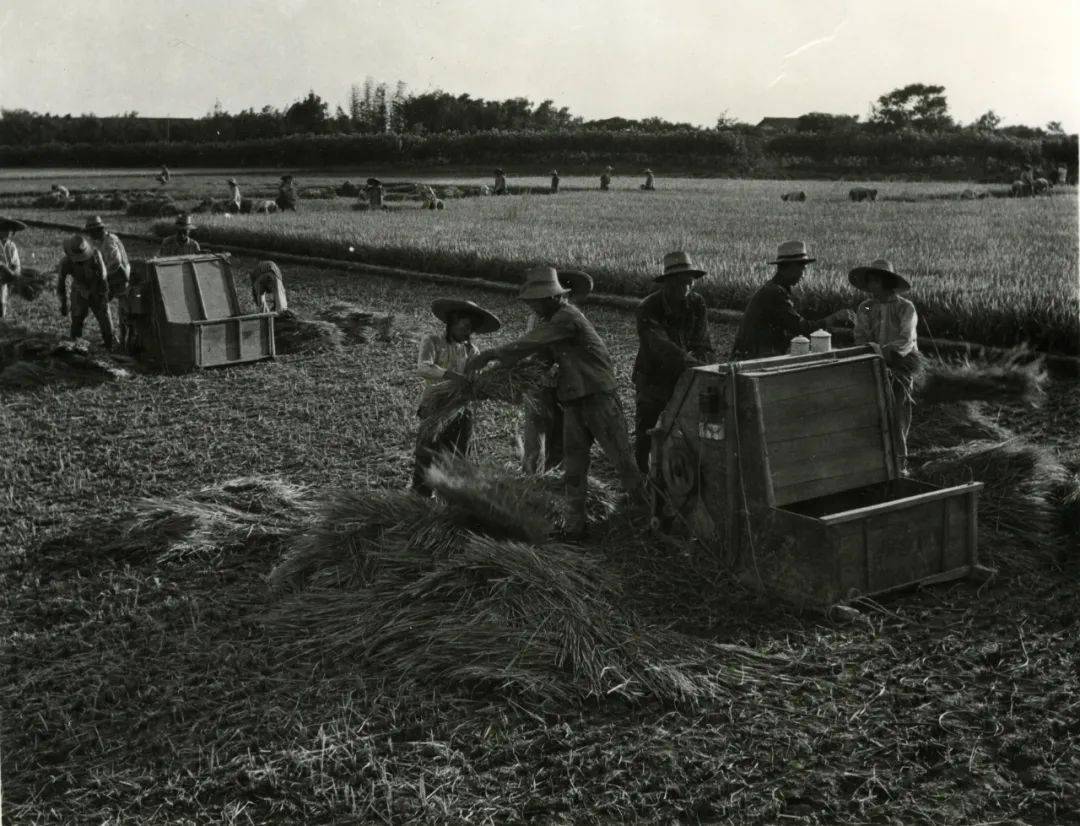 太珍贵一组老照片流出记录了百年来海宁的大变化