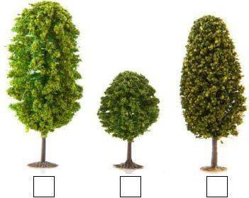 长得最高的画"√",长得最矮的画"○"(10分)三