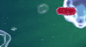 网友|一口吃下8400个细菌！“隔夜冰西瓜”上热搜，网友慌了……