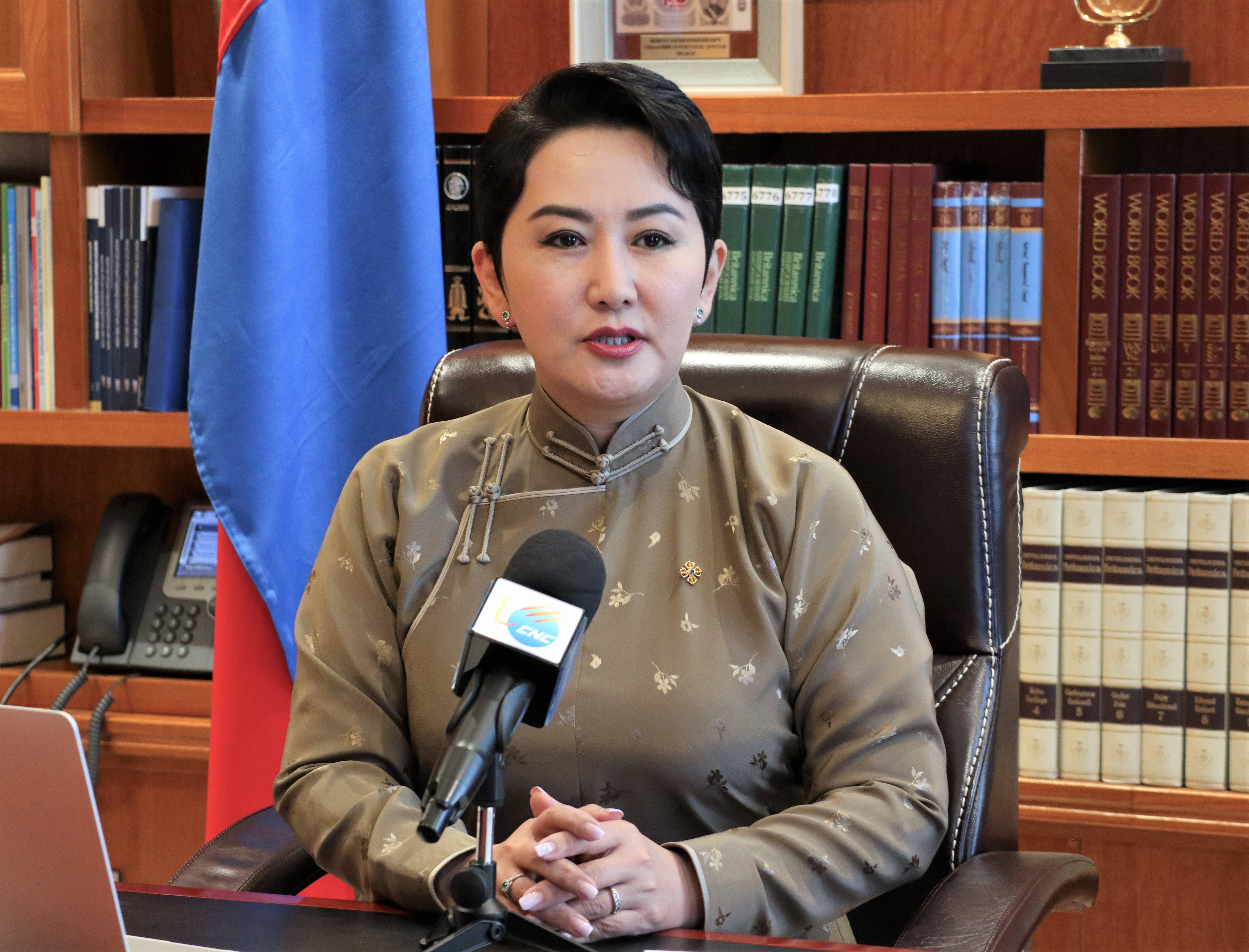 蒙古外交部长图片图片