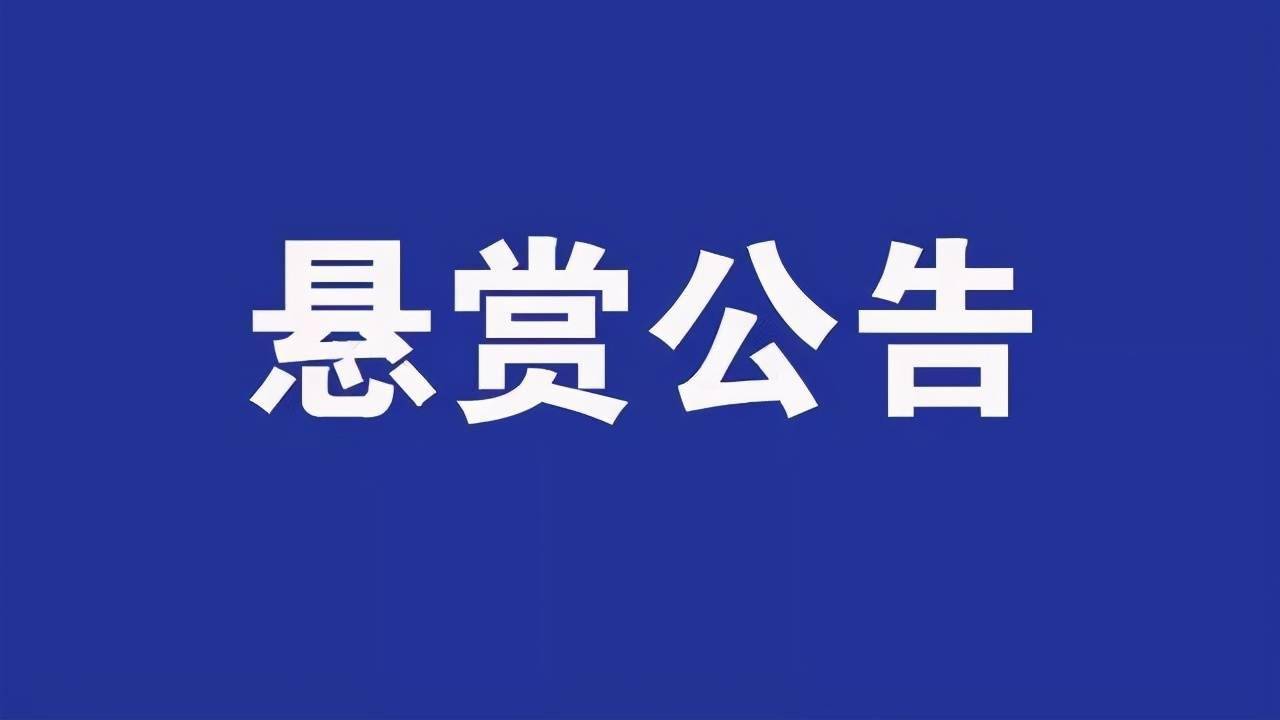 九江一法院發佈懸賞公告,提供線索最高16萬元獎金