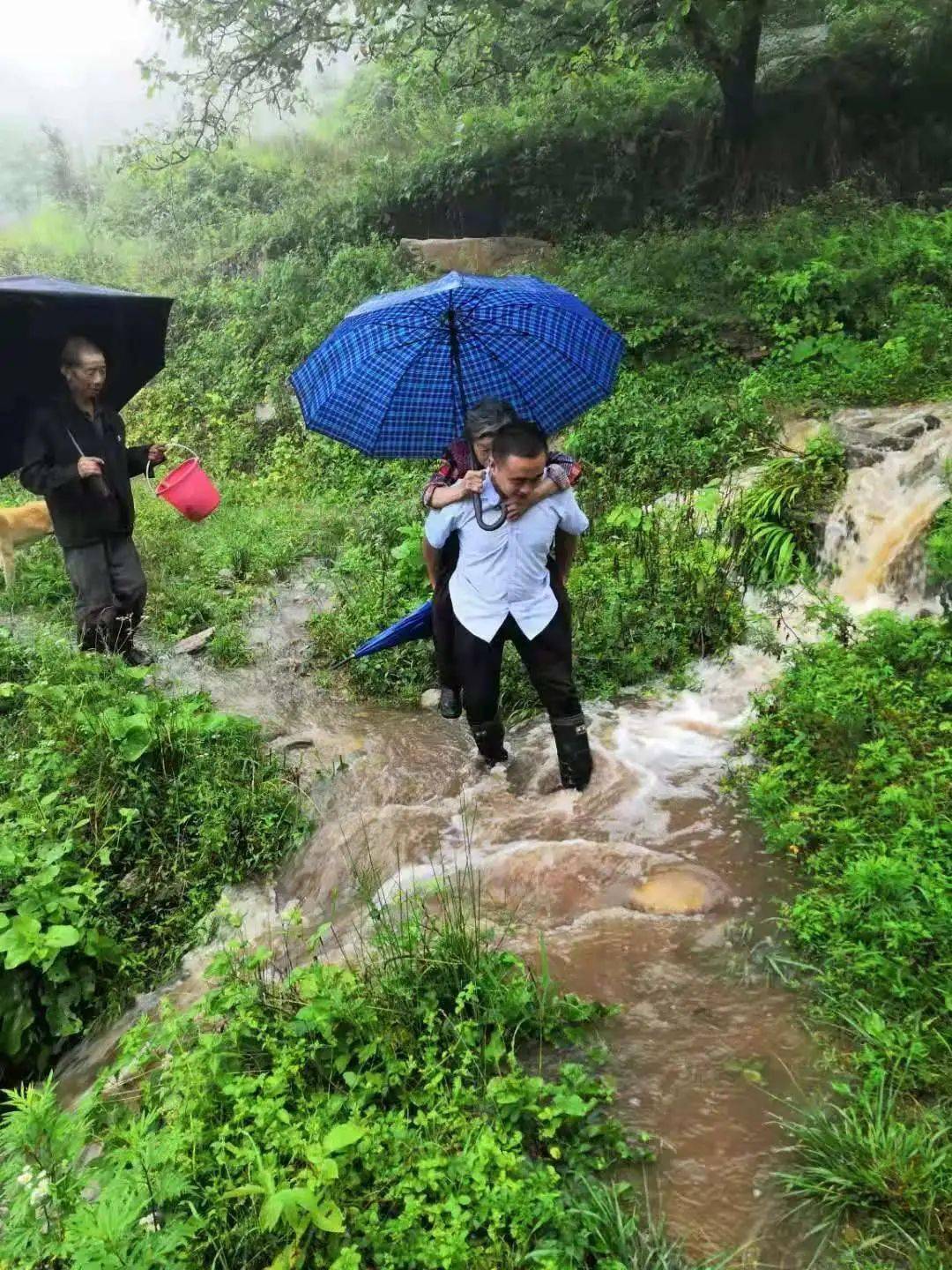 闻"汛"而动!大雨来袭后