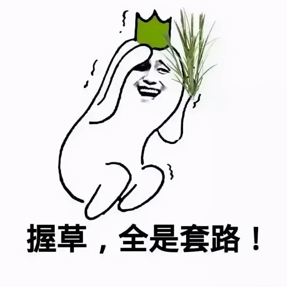 "神州系"崩塌了,"大忽悠"倒下了?