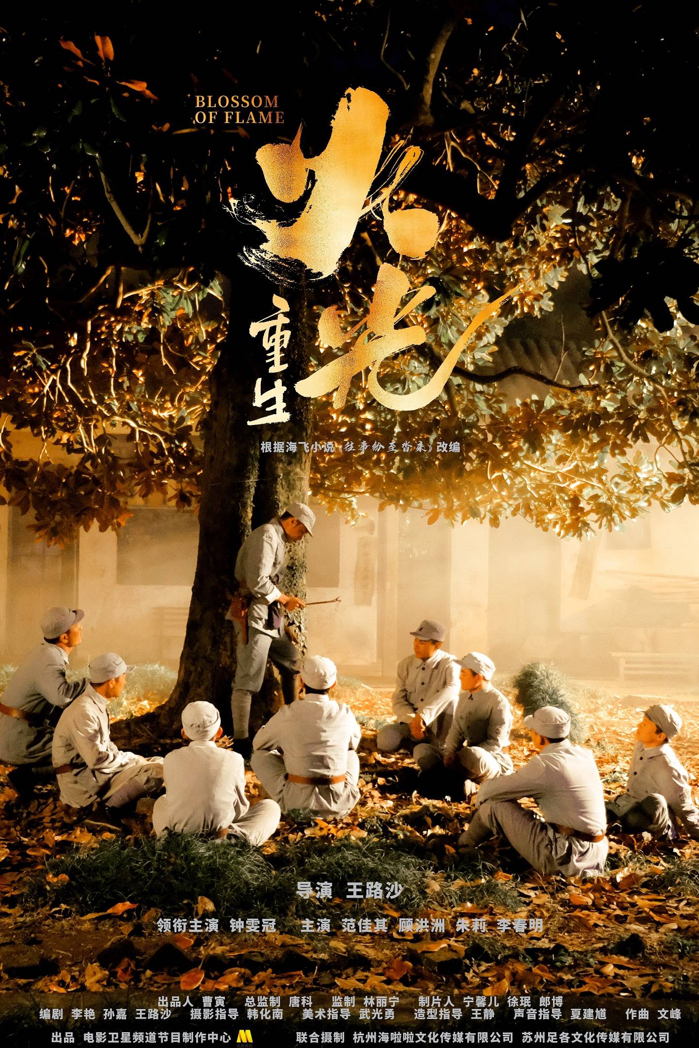 电影火光61绽放与火光61重生青春在火光中绽放重生