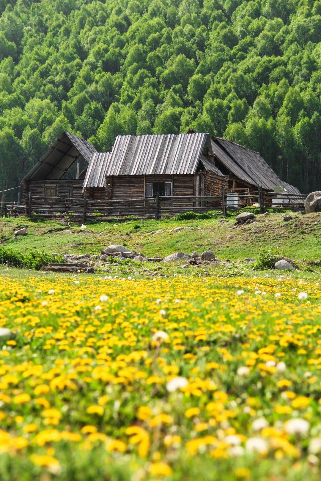 夏天去趟北疆吧
