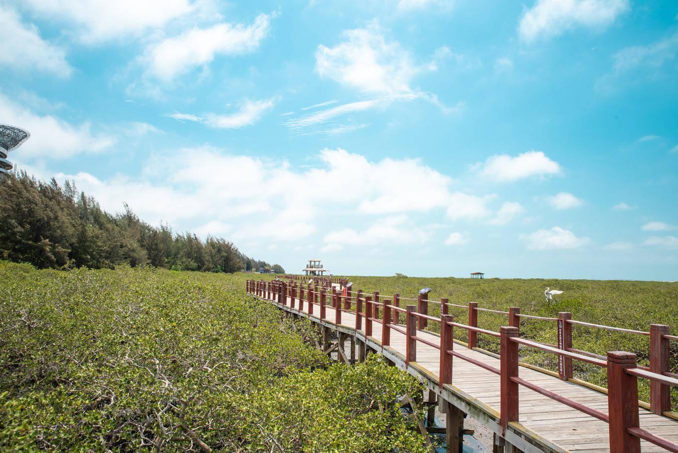 廣西自駕遊|去探尋,去發現,去領略不同的北部灣風貌_潿洲島